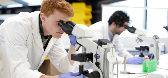 Bachelor of Science in Genetics Top Colleges, Eligibility, Syllabus, Salary and Scope